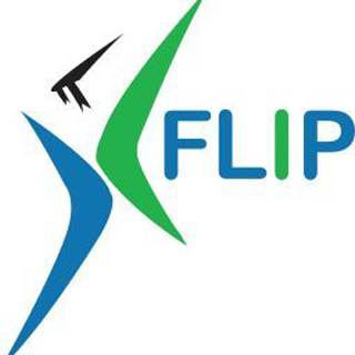 flip